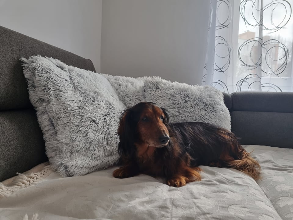 Archie z Achátu (Luisa + Dirk)