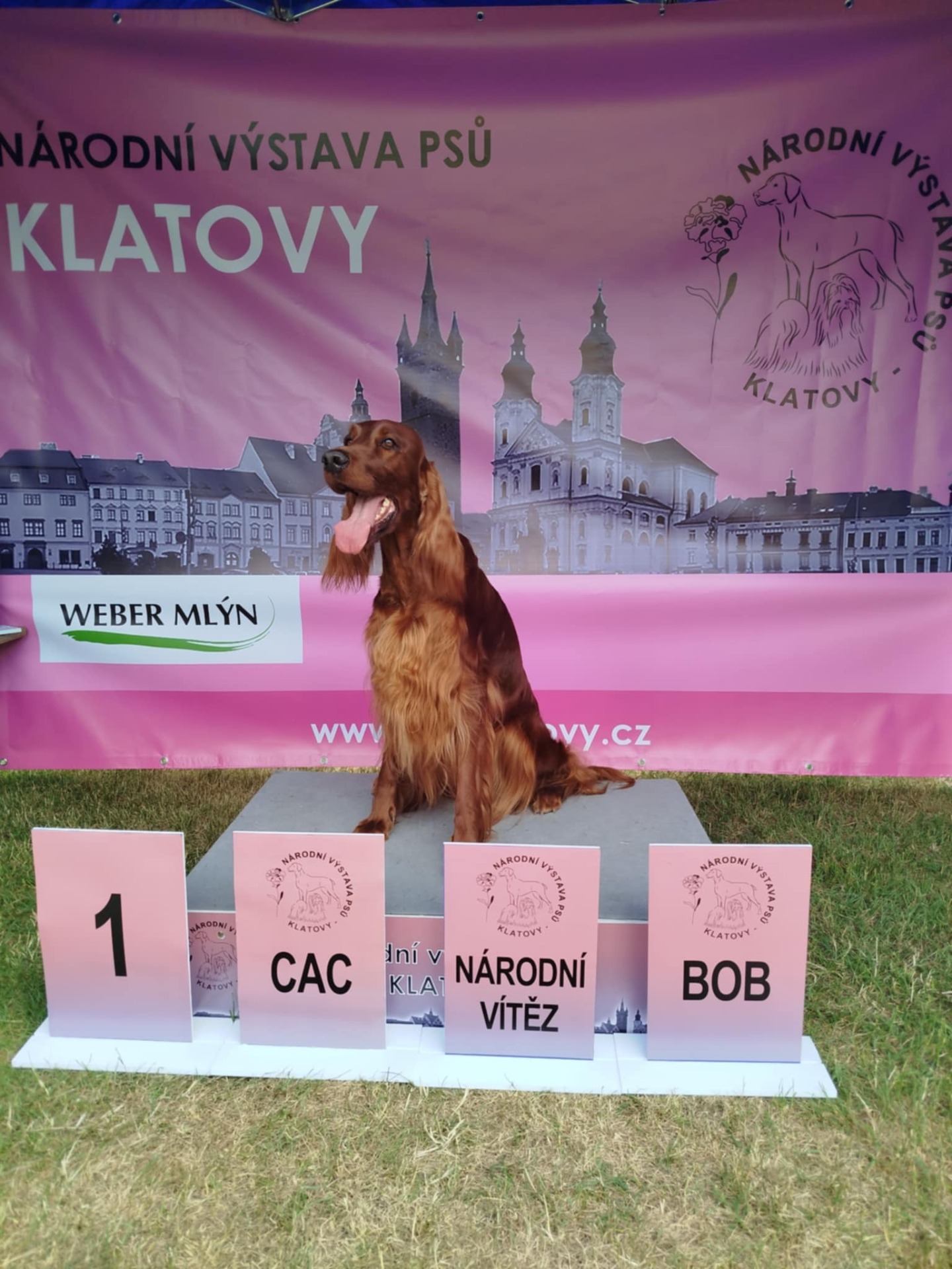 Giulia Queen Red Joker - Klatovy